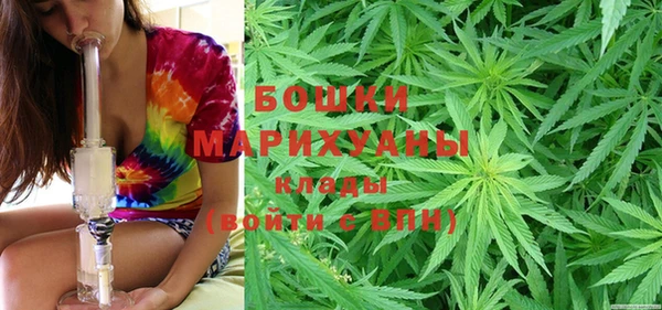 МДПВ Богданович