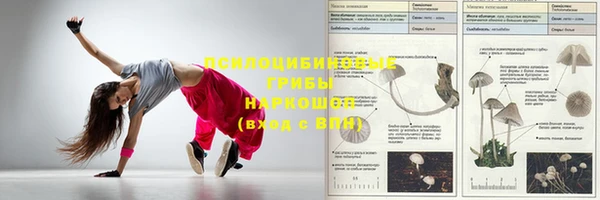 МДПВ Богданович