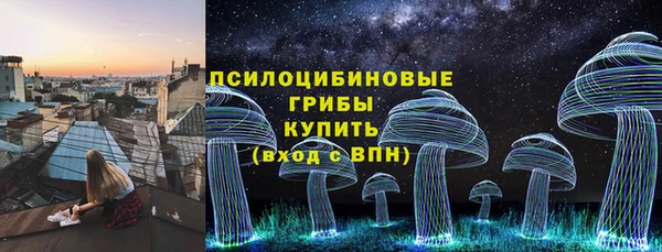 МДПВ Богданович