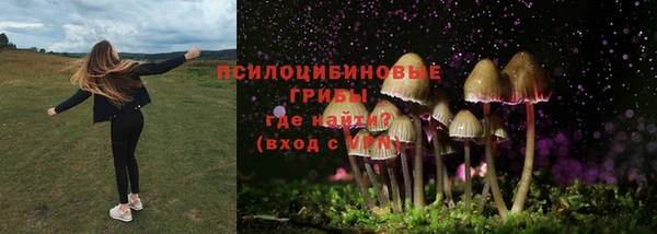ECSTASY Богородск