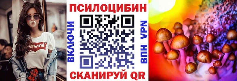 наркота  Кузнецк  Галлюциногенные грибы Psilocybine cubensis 